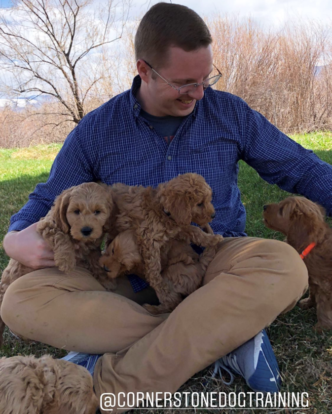 Start puppy training early