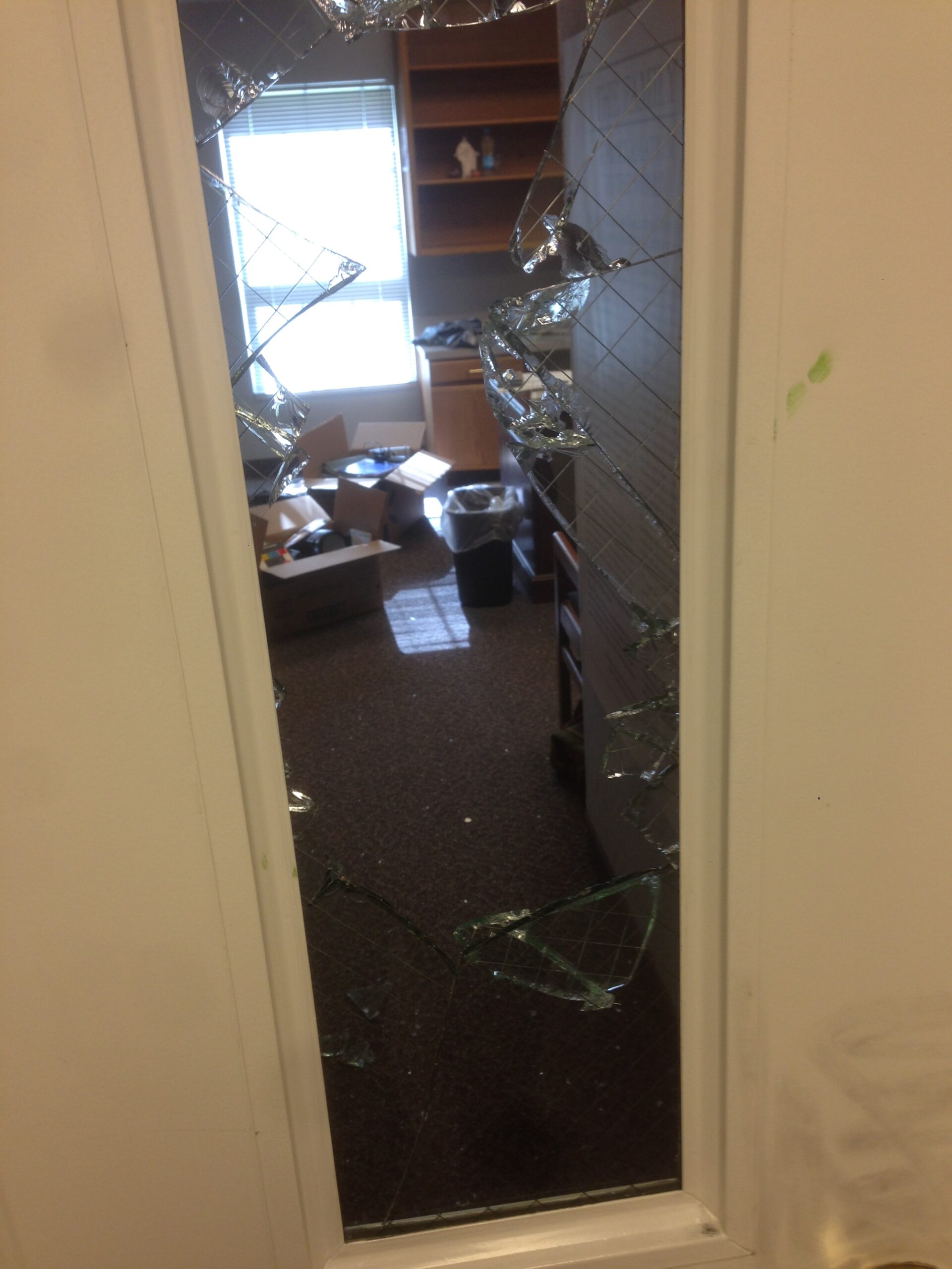 Kaysville UT Dog Training