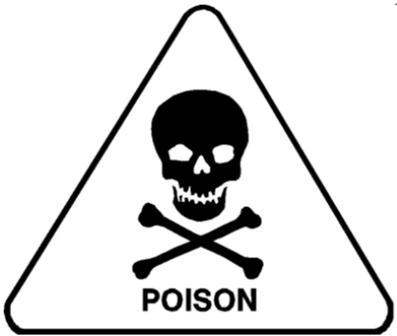 Kaysville UT Dog Training