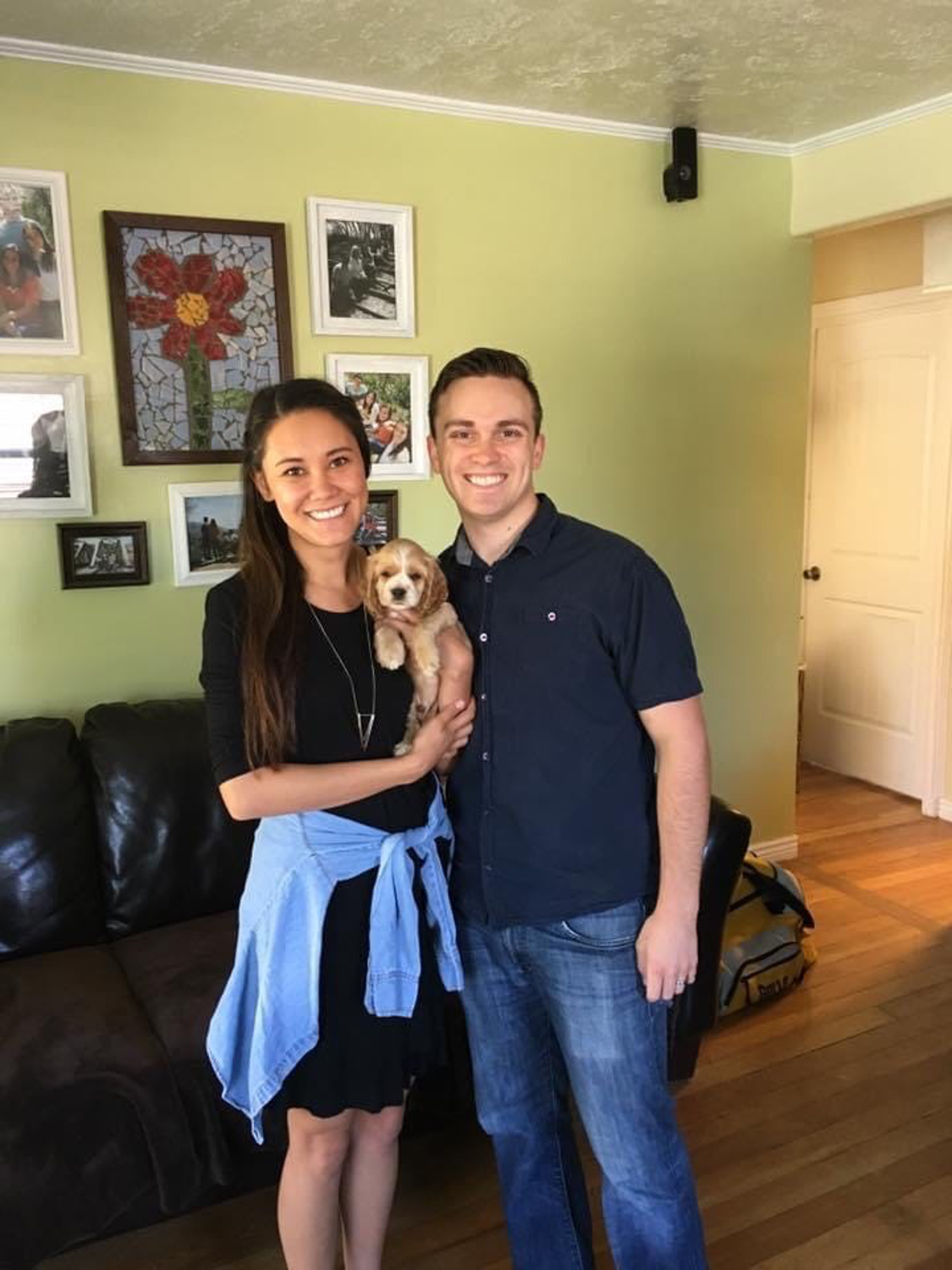 Getting a new puppy and teaching the puppy to be calm and have less stress