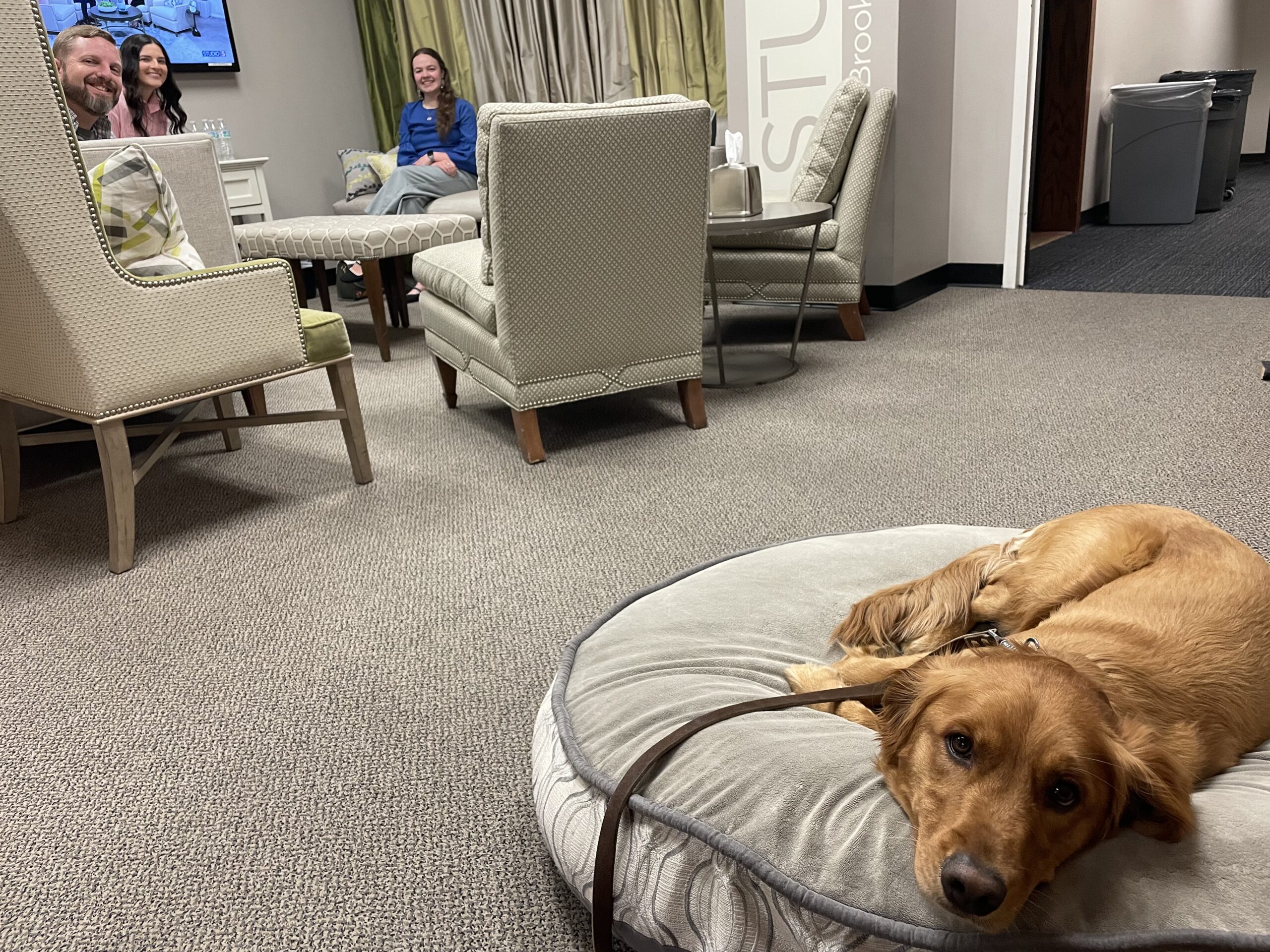 Kaysville UT Puppy Trainer