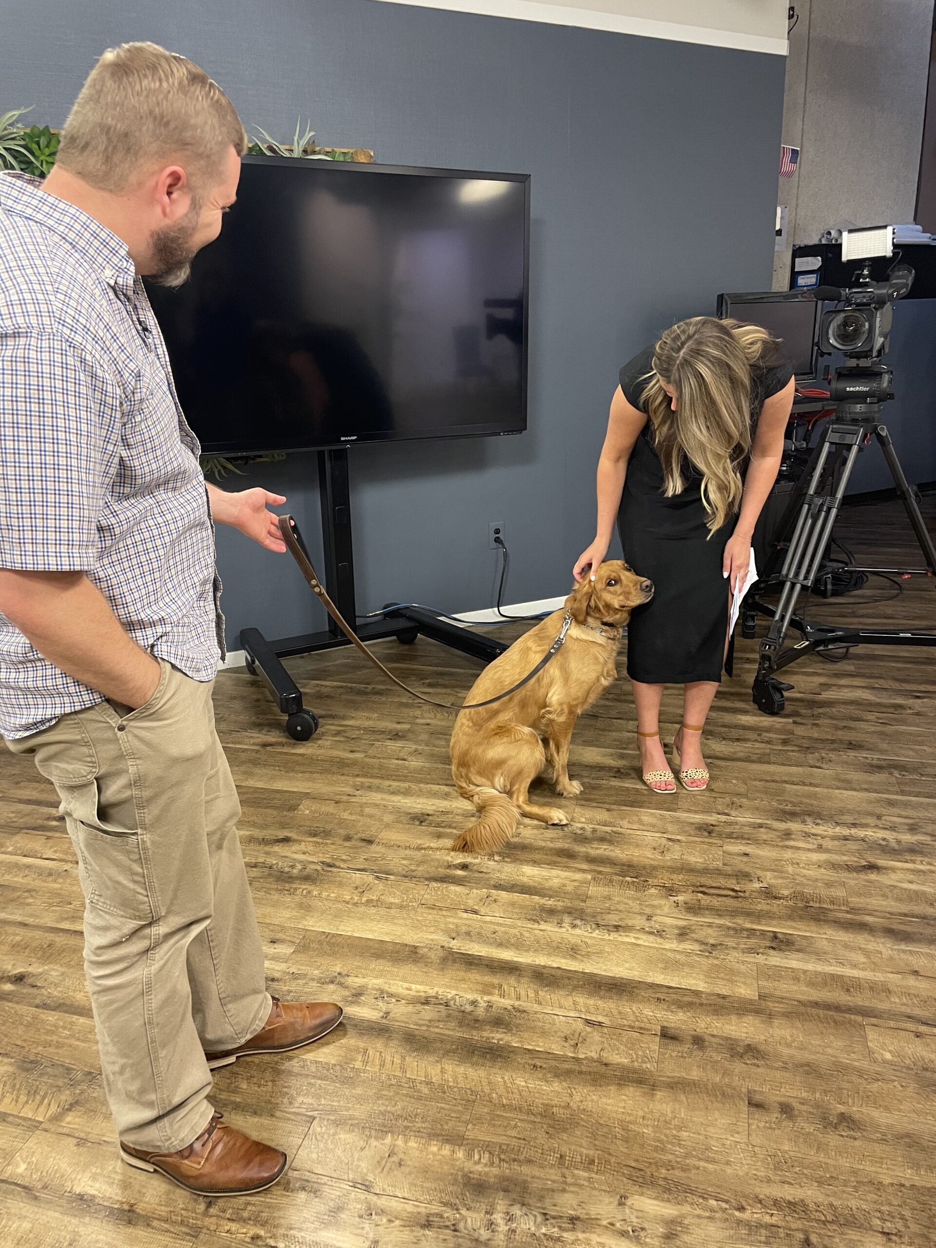 Kaysville UT Puppy Trainer