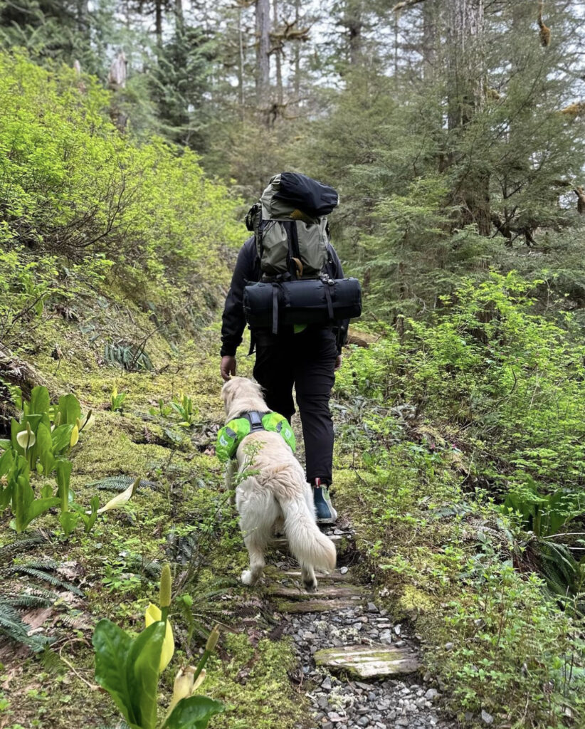 Focused heel on a hike with your dog | Boundaries Lead to Freedom | Cornerstone Dog Training 