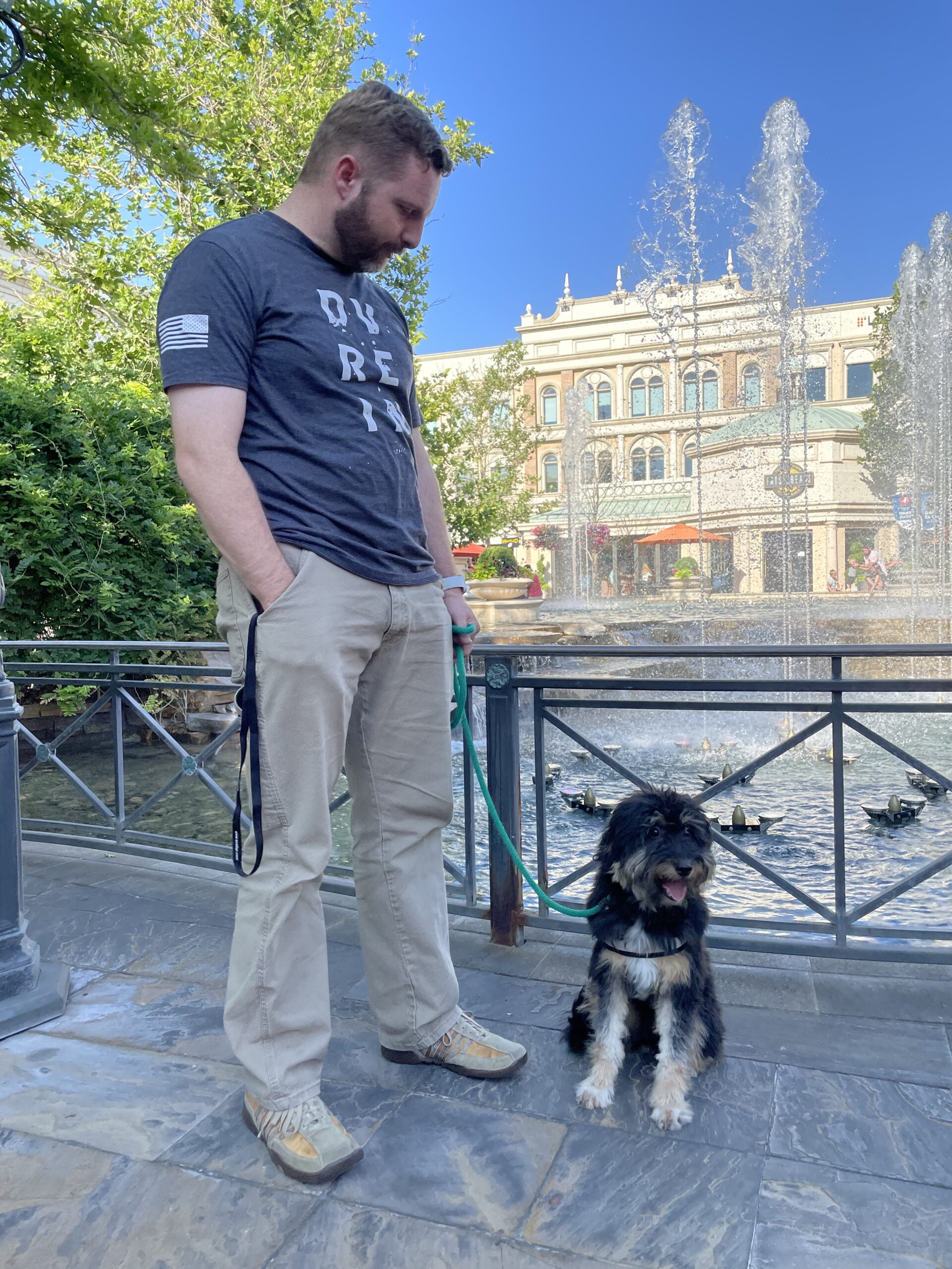 Train your Dog to stay until released in a public space