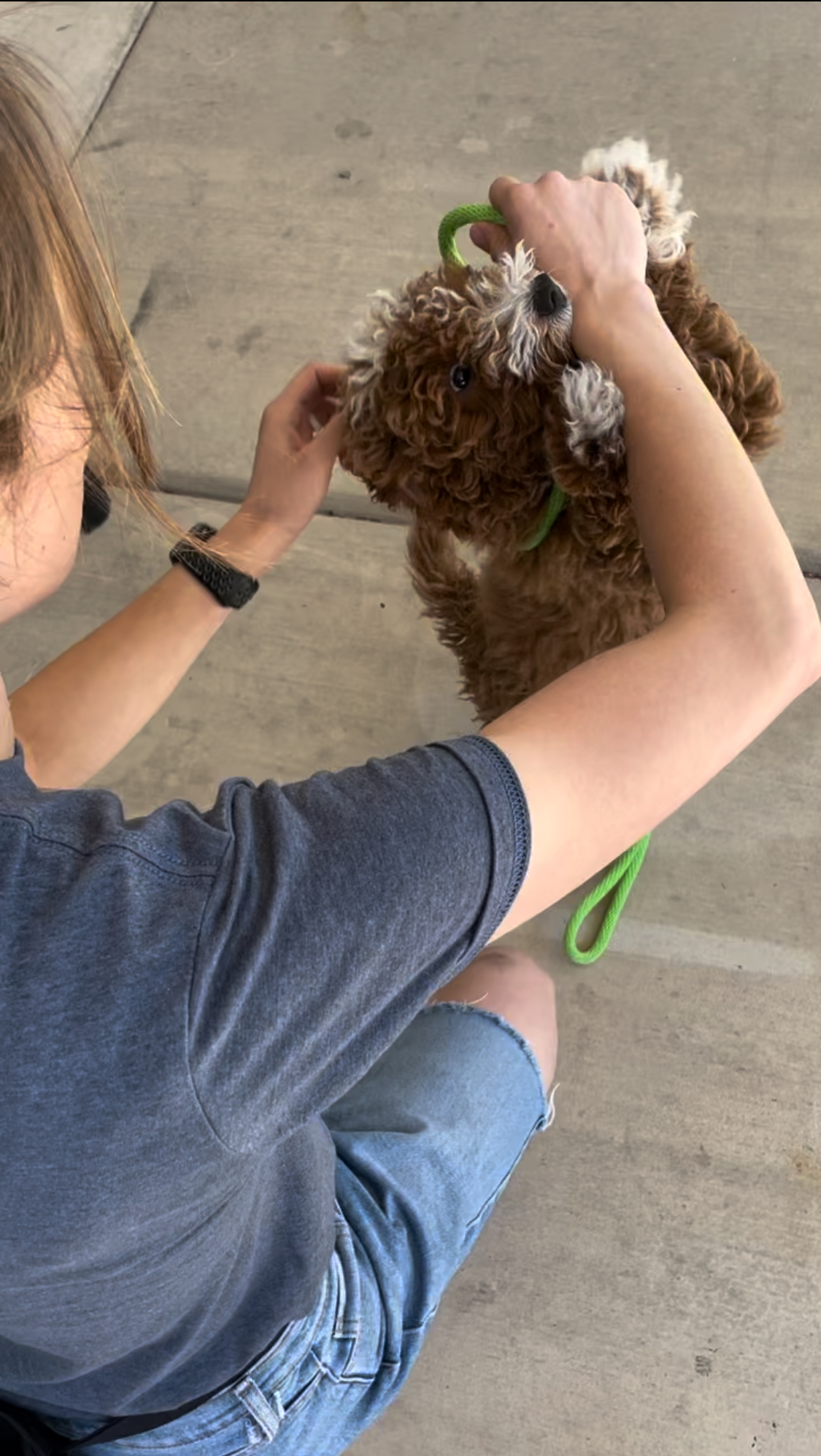 Puppy Biting during training session-puppy playfully bites person's arm while on a green slip leash, demonstrating how to correct puppy biting behavior.