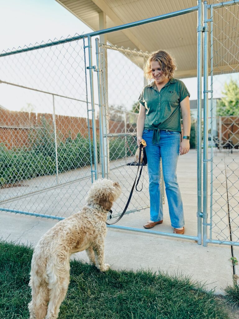 Dog trainer holding a leash and smiling at a curly-haired dog sitting calmly at a gate, demonstrating how to teach a dog to stay.