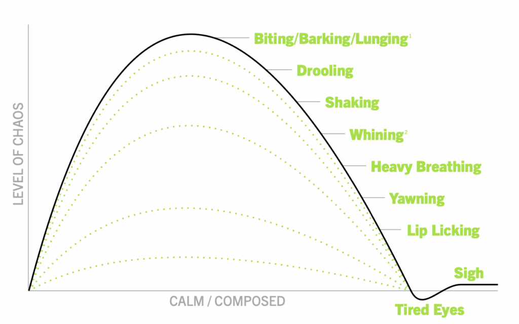 A dogs stress scale, and why their behavior dictates why your dog gets sick in the car. 