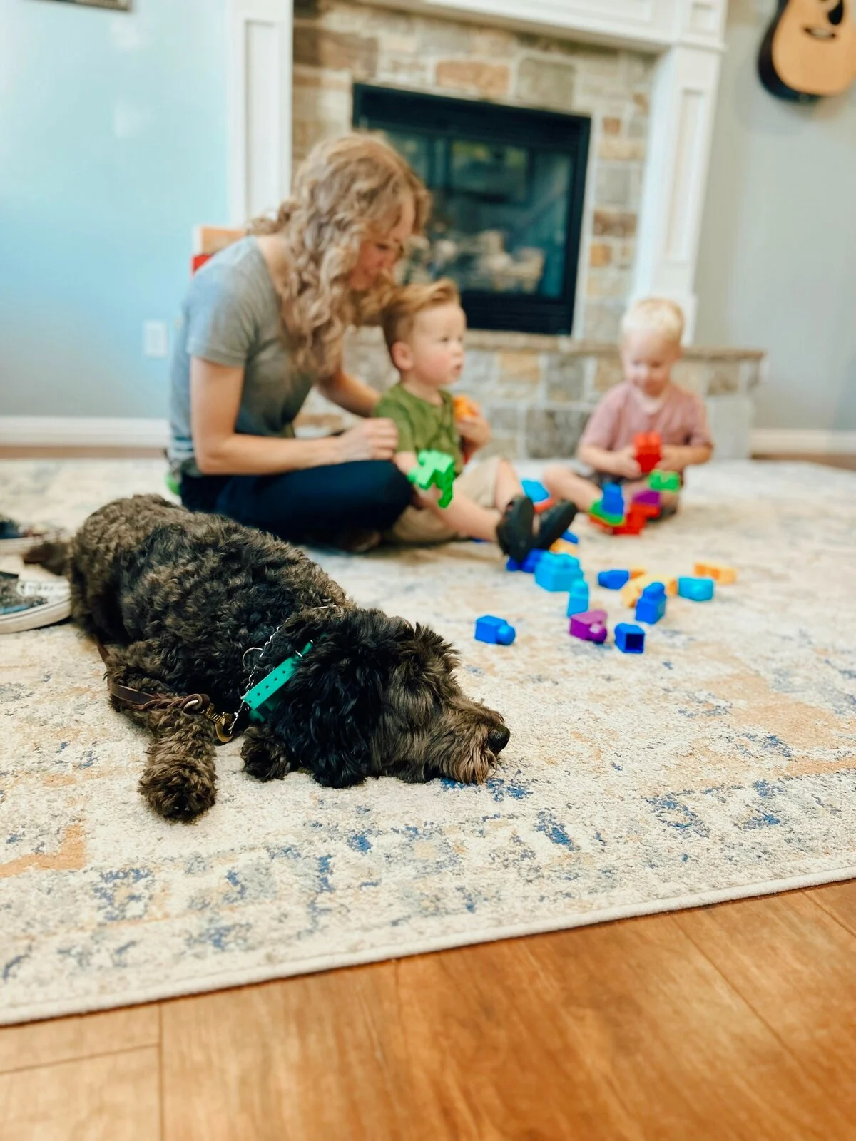 Kaysville UT Dog Training