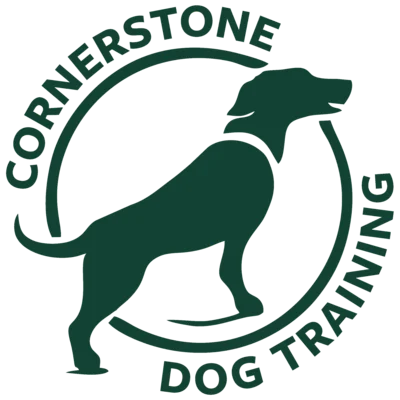 In Person Dog Training