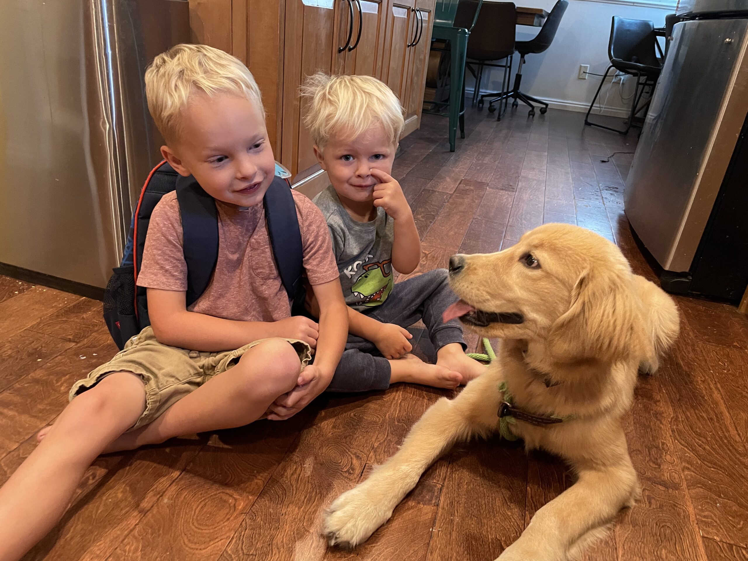 Dog Training Near Me