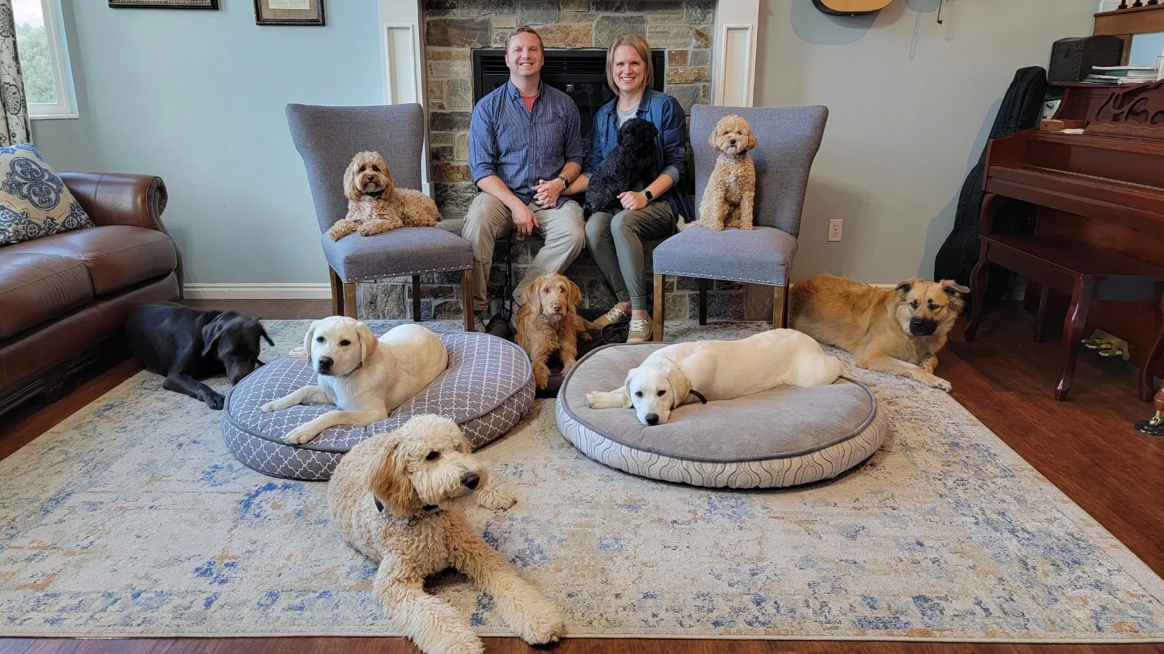 Kaysville UT Dog Training