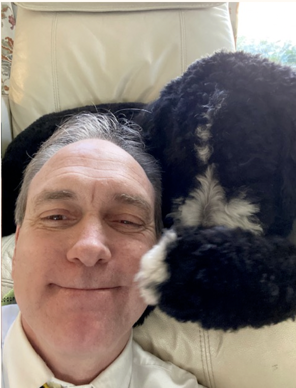 Dog Training results in Farmington, calm dog sitting next to owner