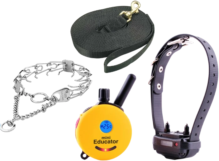 Kaysville UT Dog Training