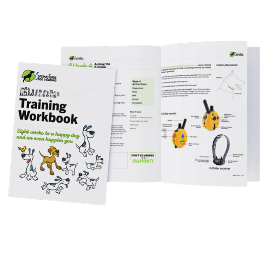 Kaysville UT Dog Training