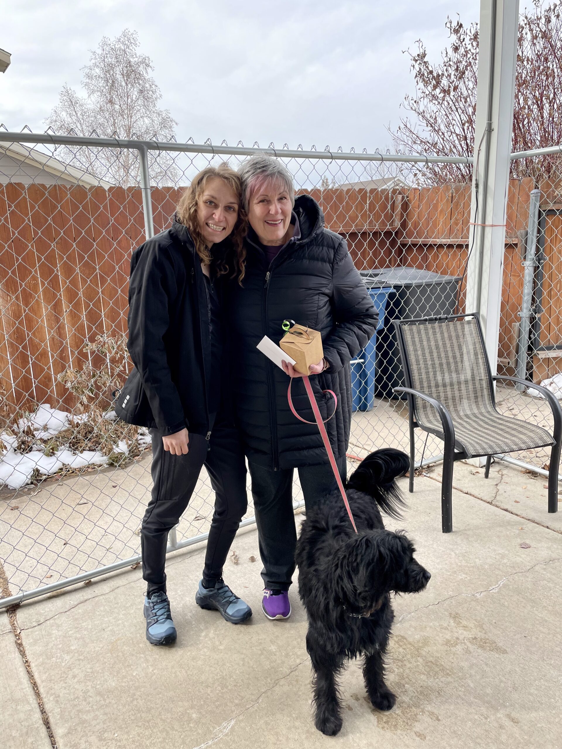 Dog Training in Bountiful Utah.