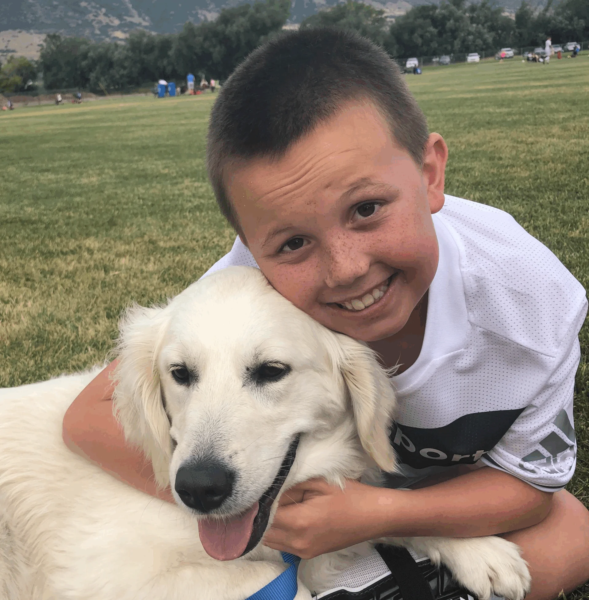 Kaysville UT Dog Training
