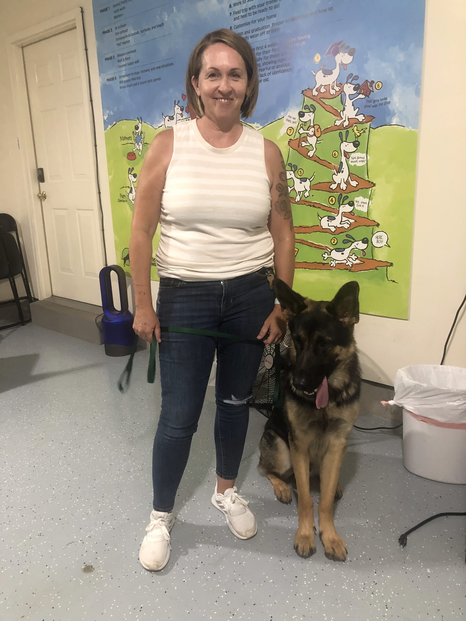 Dog Training In Saratoga Springs, UT