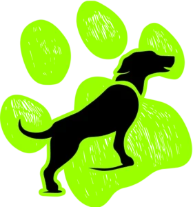 Dog Obedience Training in Kaysville