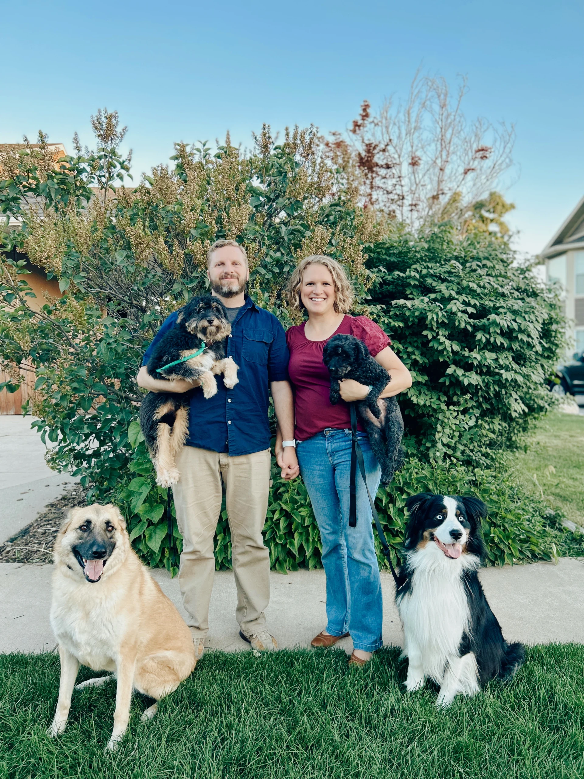 Kaysville UT Dog Training