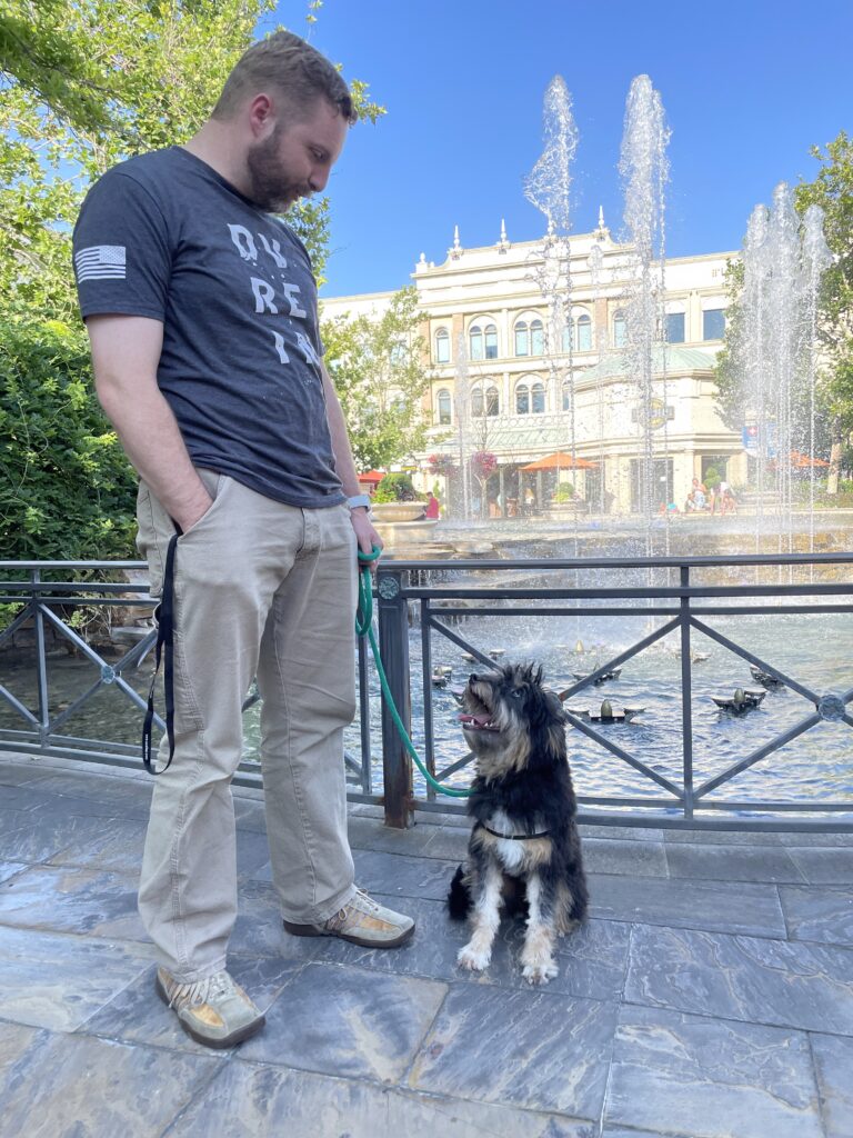 Dog sitting at Station Park in Farmington Utah