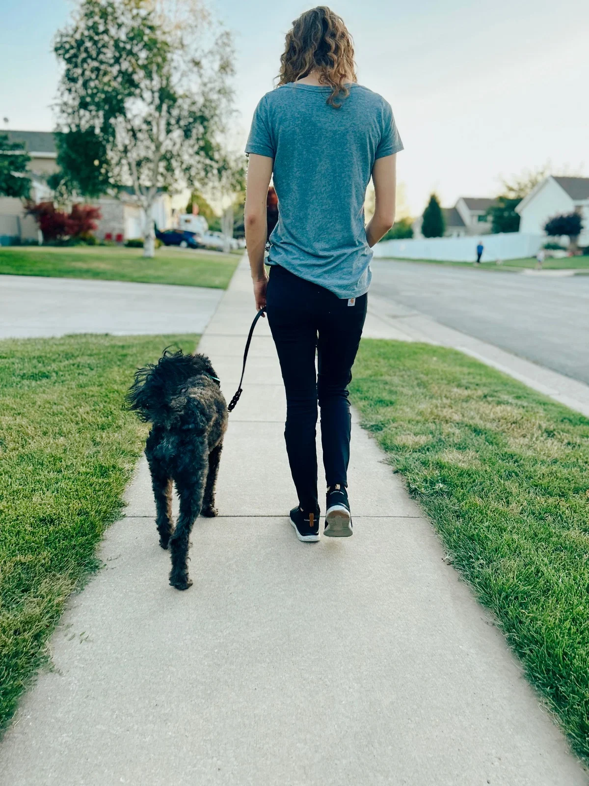 Dog Training Program