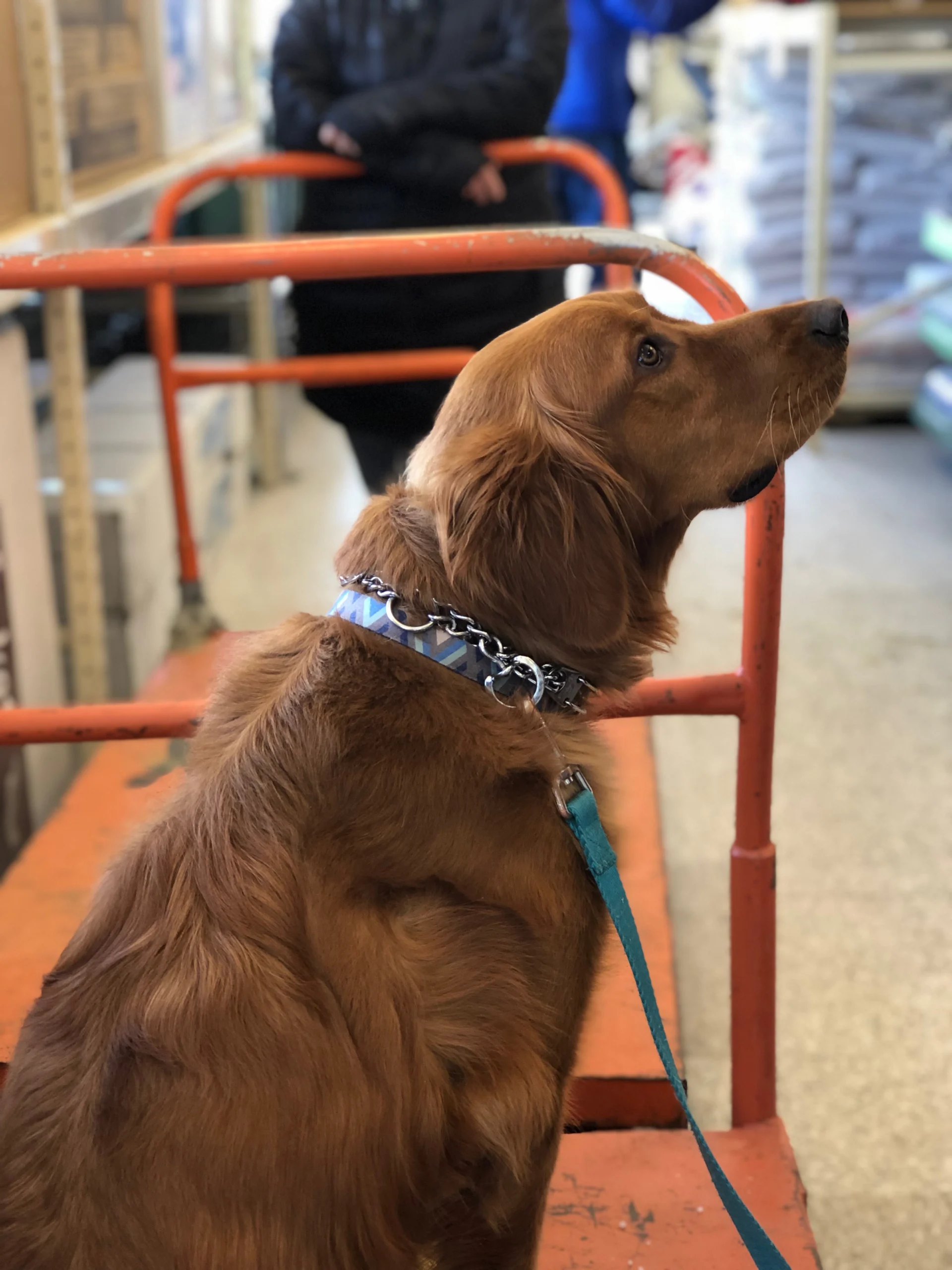 What Is Balanced Training? (And Why It Actually Works)