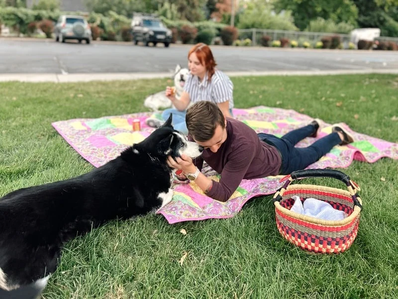 Dog Training Program