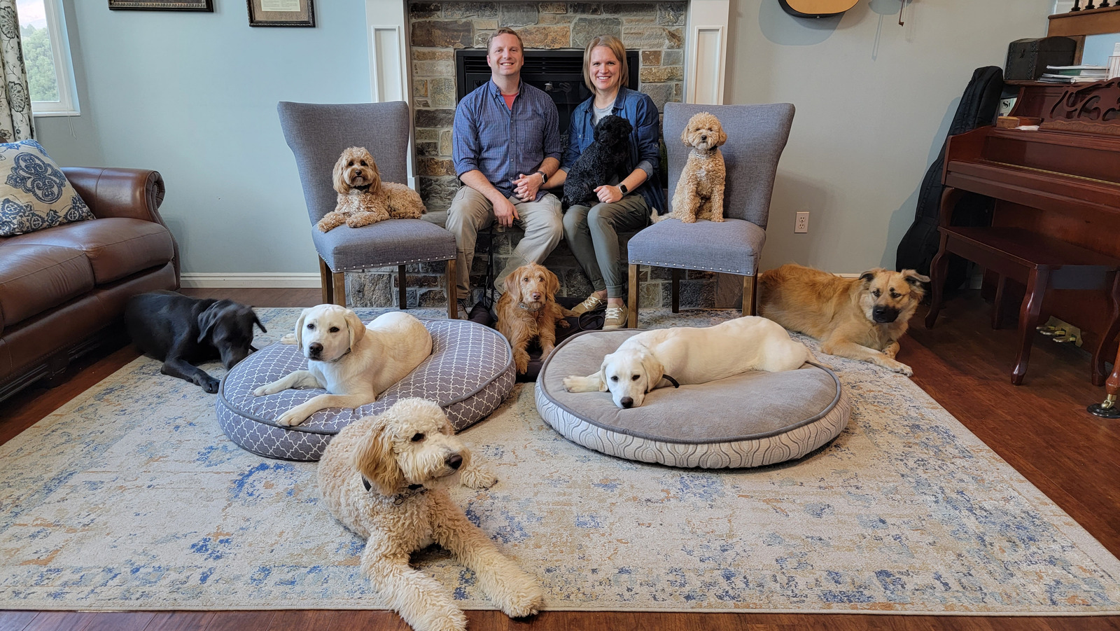 Dog Training Program