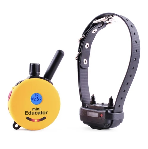 E-Collar Training in Farmington: A Clear, Balanced Approach to Better Behavior