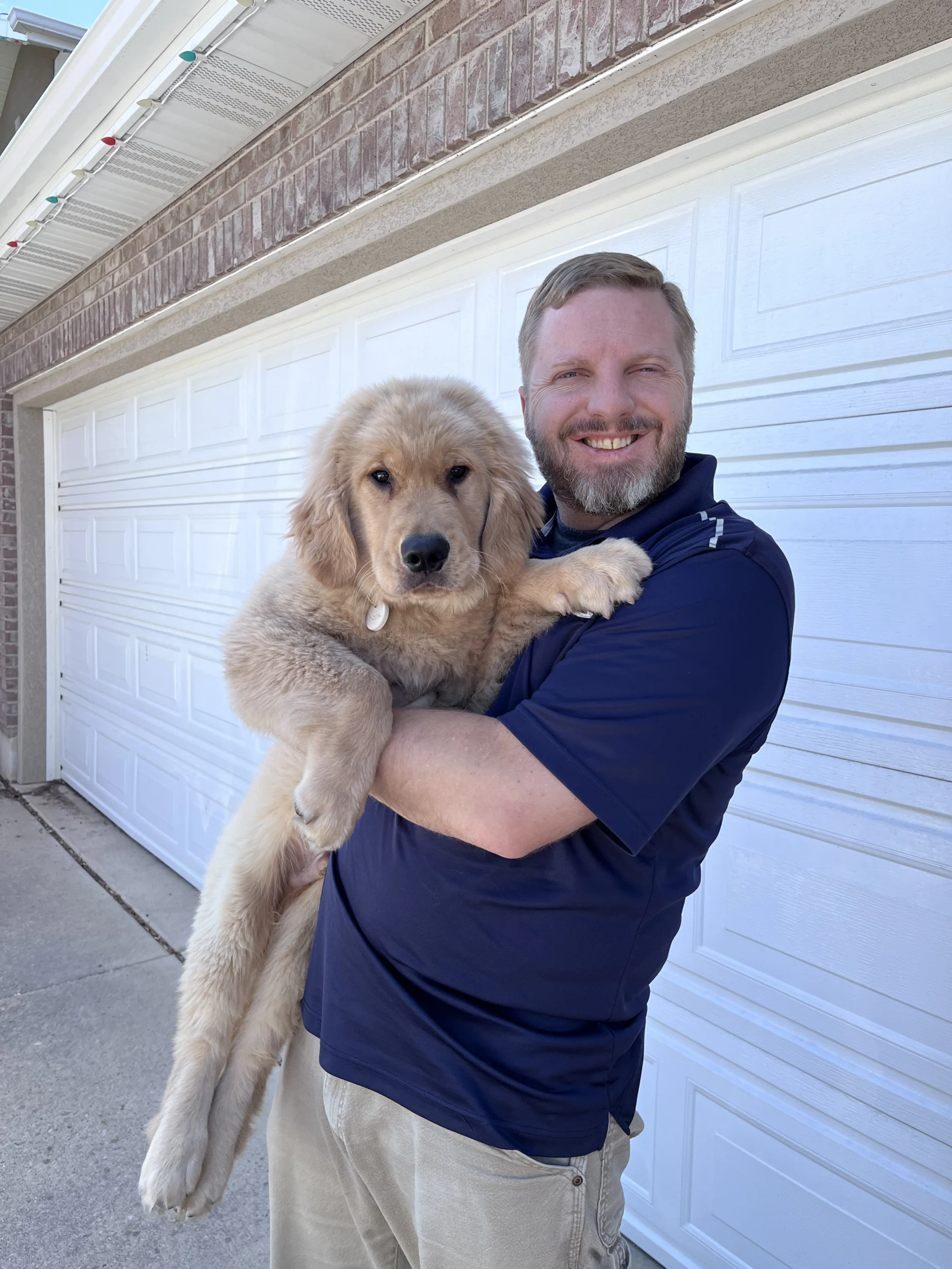 Puppy Training in Farmington: Start Now for a Dog You’ll Love for Life